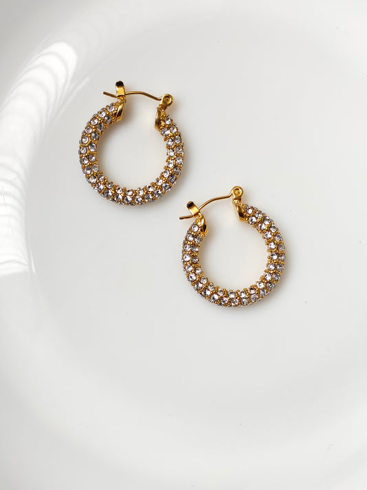 Disco deewane earrings