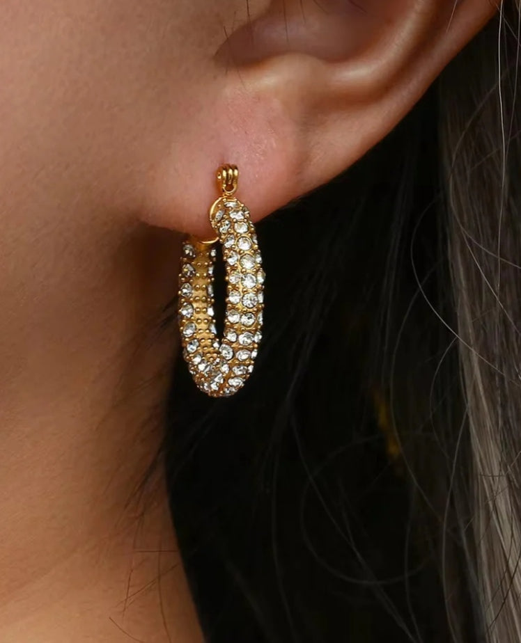 Disco deewane earrings