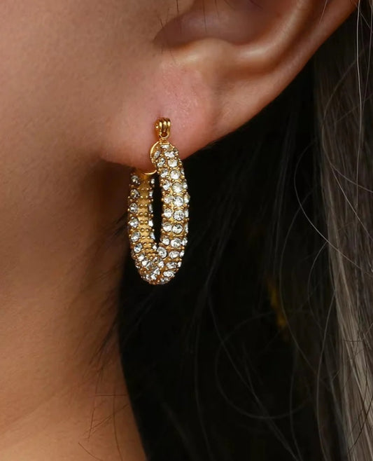 Disco deewane earrings