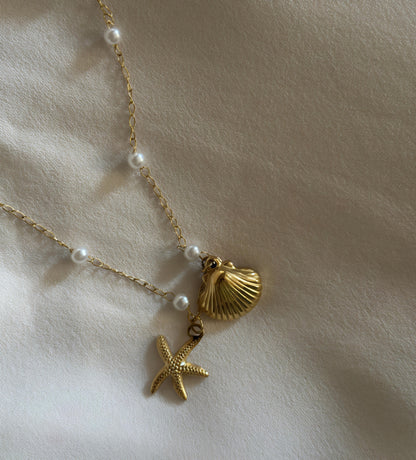 Solara Seashell Bracelet