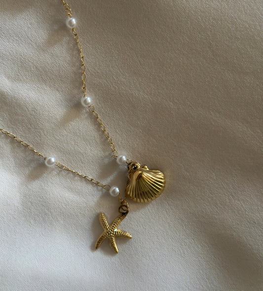 Solara Seashell Bracelet