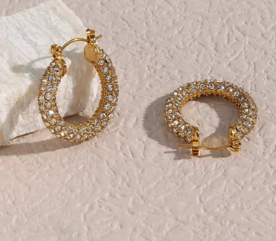 Disco deewane earrings