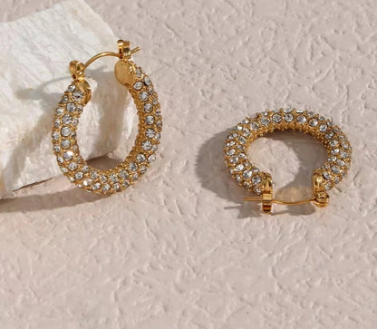 Disco deewane earrings